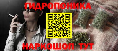 сатива Новодвинск
