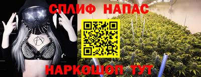 сатива Новодвинск