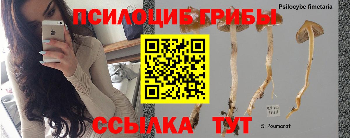 Прокопьевск  Галлюциногенные грибы ЛСД  купить наркотики цена  Вход с VPN 